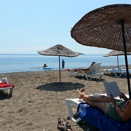 Sureyya Gümüldür