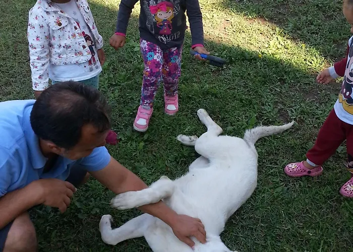 Sureyya Hotel Gümüldür