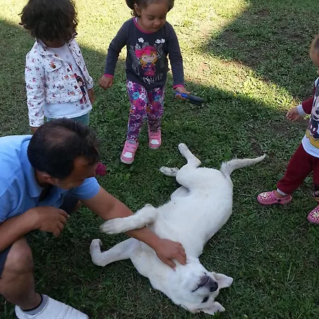 Sureyya Hotel Gümüldür